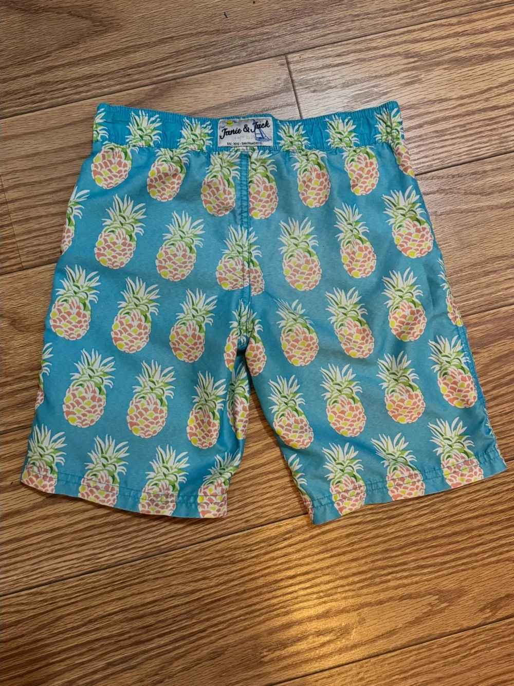 Janie and Jack Boys Swimtrunks Size 7